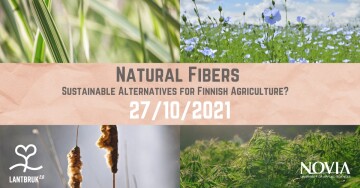 Natural Fibers