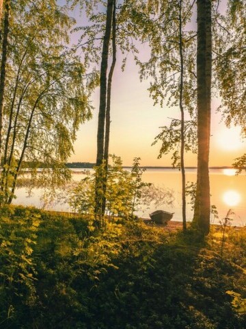 Finnish forrest, a boat and water_Unsplash