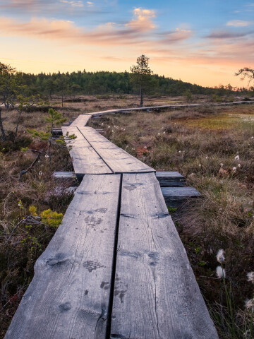 Myr Torronsuo National park